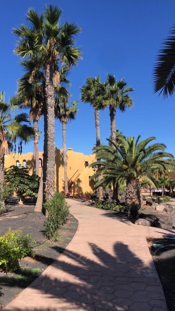 Casa Paraiso Papagayo 科拉雷侯 外观 照片