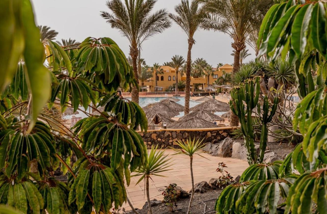 Casa Paraiso Papagayo 科拉雷侯 外观 照片