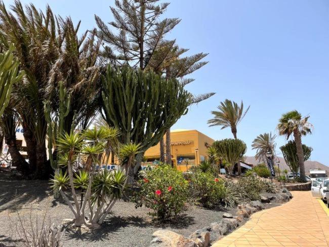 Casa Paraiso Papagayo 科拉雷侯 外观 照片